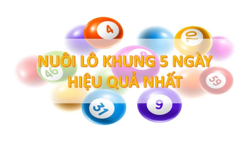 nuôi lô khung 5 ngày