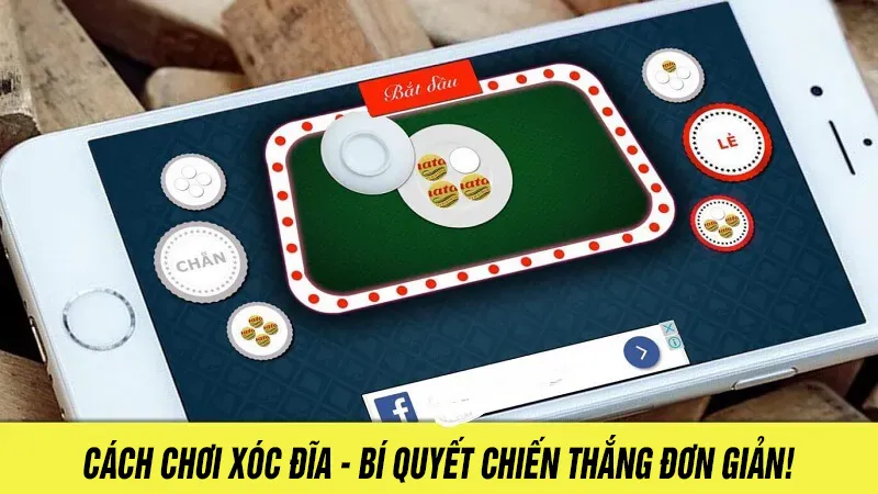 Cách Chơi Xóc Đĩa Bí Quyết Chiến Thắng Đơn Giản!