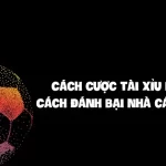 Cách cược tài xỉu bóng đá - Cách đánh bại nhà cái chuẩn 90_